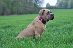 Read more about the article MIA (UNFORGETTABLE DEL-ORTE)