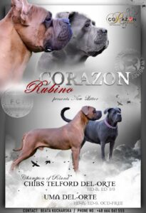 Read more about the article Miot „M”