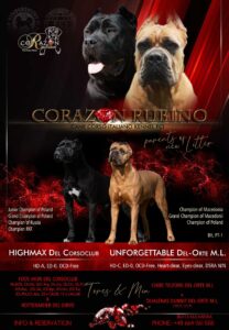 Read more about the article Miot B