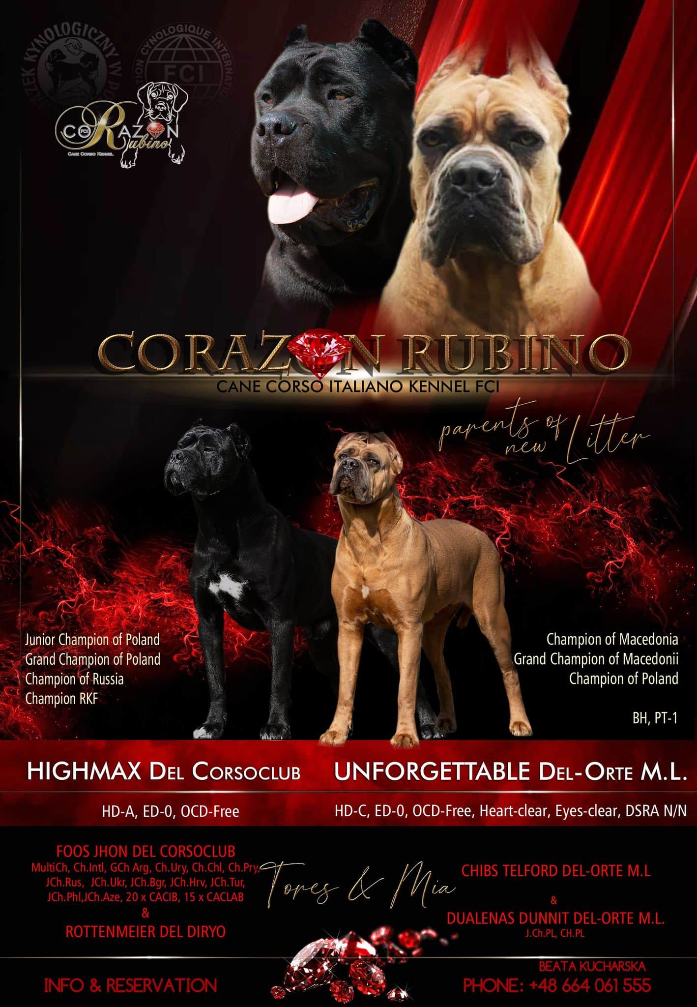 You are currently viewing Miot B