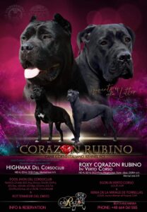 Read more about the article Miot T