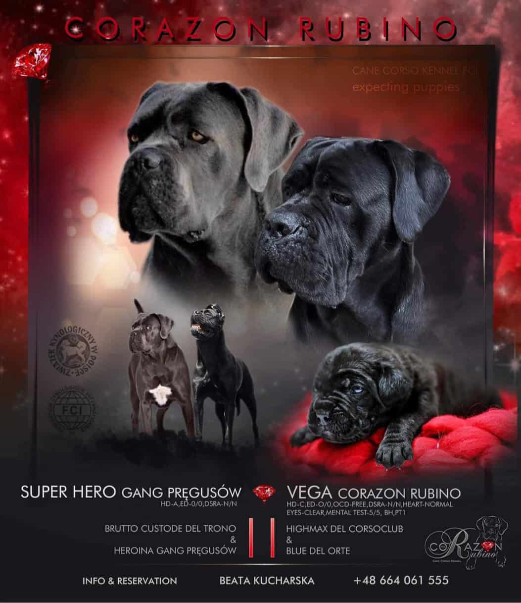 You are currently viewing Miot A