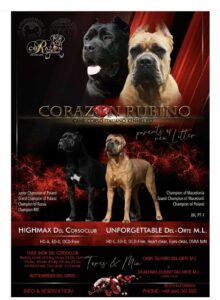 Read more about the article Miot H