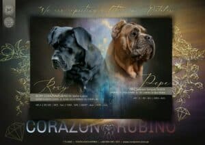 Read more about the article Miot S