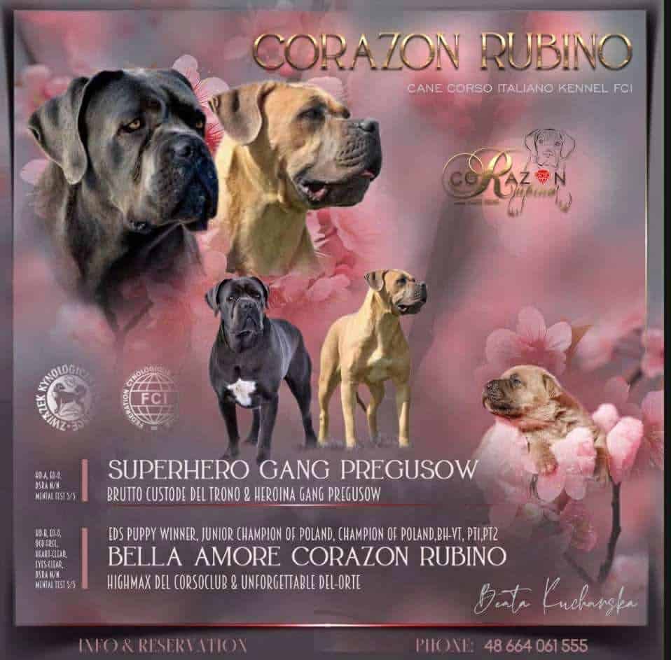 You are currently viewing Miot K