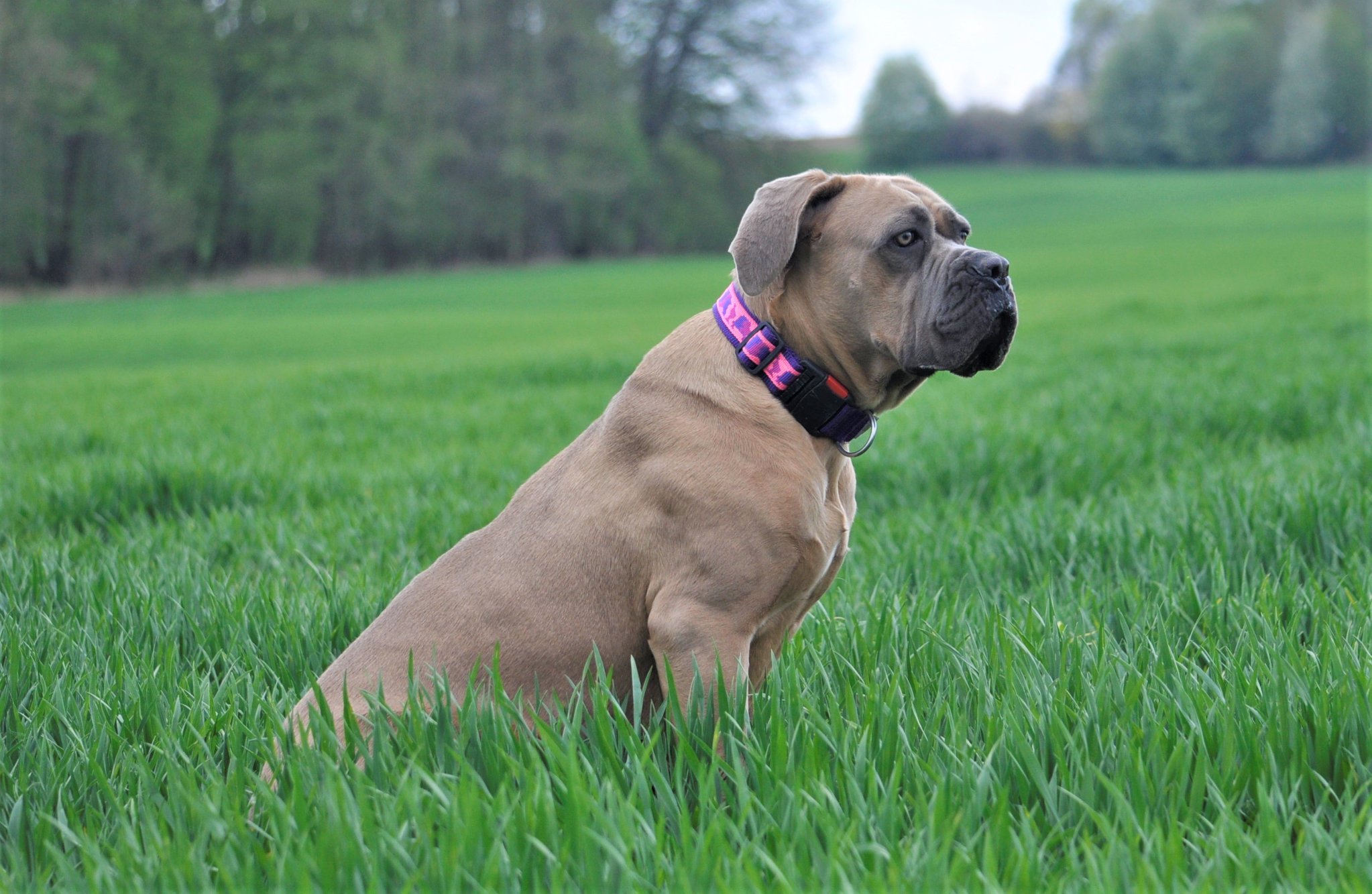 Read more about the article MIA (UNFORGETTABLE DEL-ORTE)